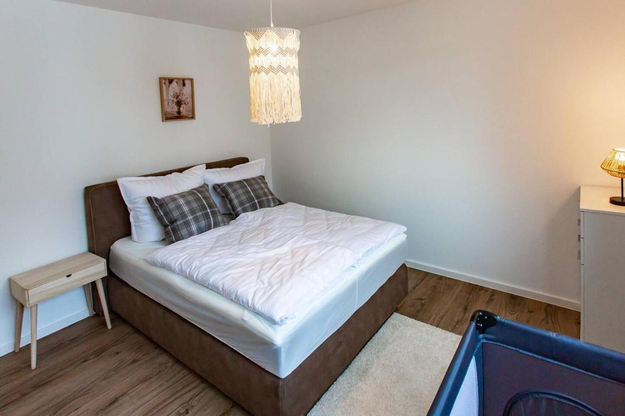 Apartmán Grosse Cozy 3-Zi-Whg Mit Balkon Naehe Europa Park Und Rulantica Lahr  Exteriér fotografie